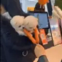 Puppy 卩ㄖ爪乇尺卂几丨卂几 Mov 27