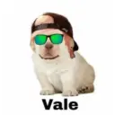 Puppy 16