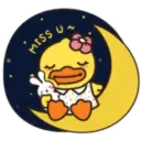 DUCK mov. 7