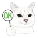 OK