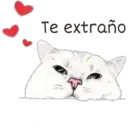 Abrázame 10