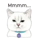Abrázame 5