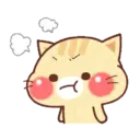 Kittens 2 5