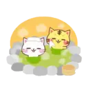 Kittens 2 14