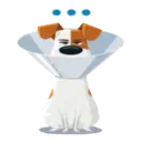Pets - A Vida Secreta dos Bichos 11
