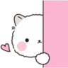 Lovely Fluffy Cat 1 10