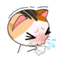 Goojil Meow 41