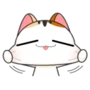 Goojil Meow 46
