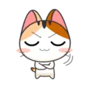 Goojil Meow 54