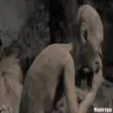 🎥 Lord Of The Rings 10