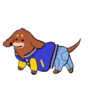 Perrito Disfrazado 3 Mov. 21