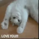I LOVE YOU ... 15