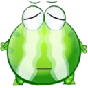 Sapo 5