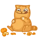 Pelusas 10